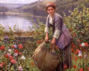 The grass cutter - 丹尼尔·李奇微爵士